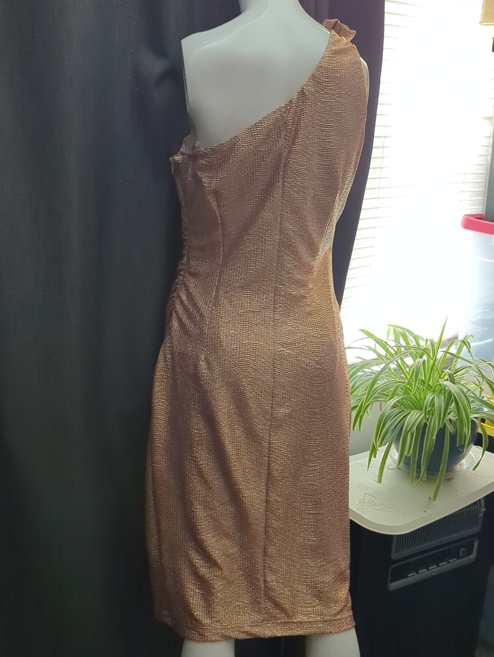 Dress - Picture 8 of 14
